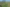 (Lot 4) 13 Pokuru Road, Te Awamutu