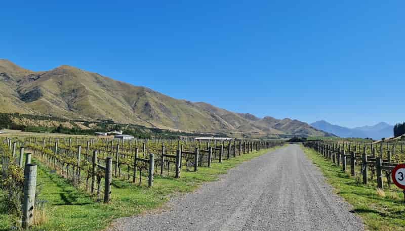2/2254 Mouse Point Road, Hanmer Springs