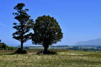Lot 5 South Terrace Road, Karamea