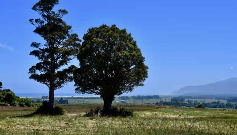 Lot 5 South Terrace Road, Karamea