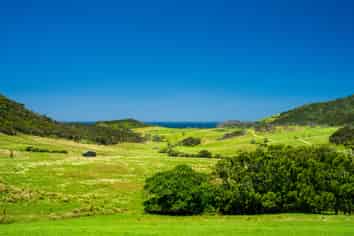 Lot 1 Basil Road, Whangarei Heads