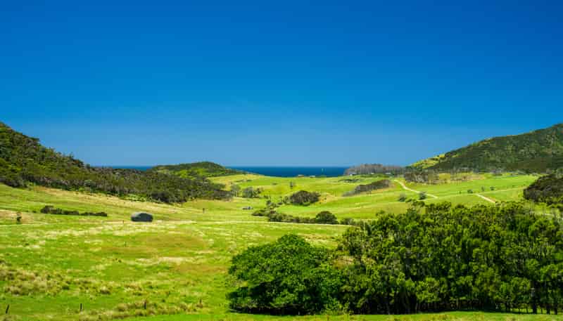 Lot 1 Basil Road, Whangarei Heads