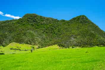 Lot 1 Basil Road, Whangarei Heads