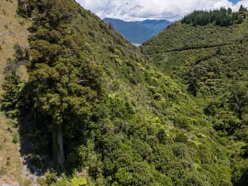 744 Rameka Creek Road (Lot 3), Takaka