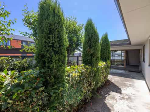 29 Francis Street, Blenheim