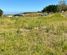 1391 Kaipara Hills Road, Kaipara Flats, Rodney, Auckland