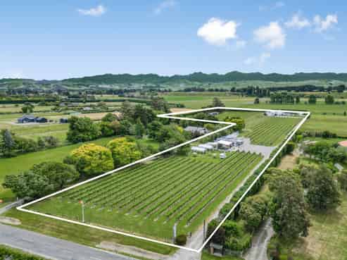 42 Loop Line, Opaki