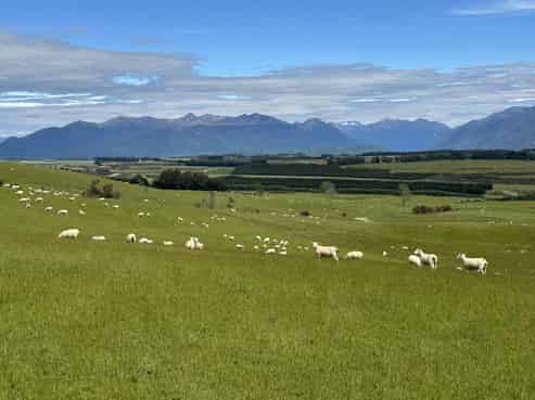 133 Dale Road, Te Anau