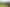 Northland - Address withheld
