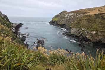  Cannibal Bay Rd, Owaka