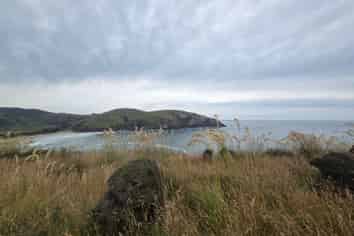  Cannibal Bay Rd, Owaka