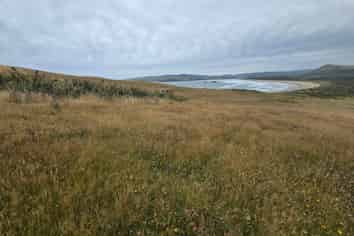  Cannibal Bay Rd, Owaka