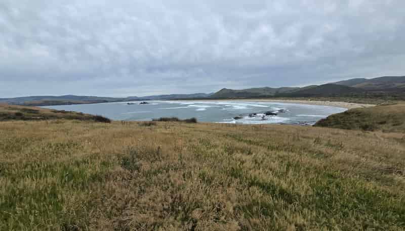  Cannibal Bay Rd, Owaka