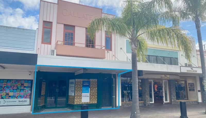 148 Emerson Street, Napier South