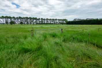 . Murphy Street, Waimate