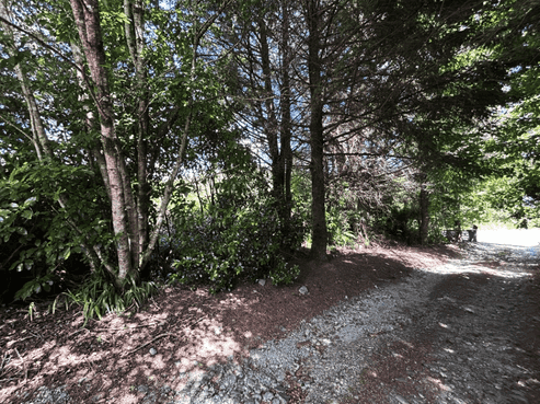 18 Herd Street, Dunollie