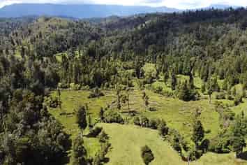 250 Granite Creek Road, Karamea