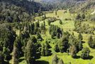 250 Granite Creek Road, Karamea, Buller, West Coast