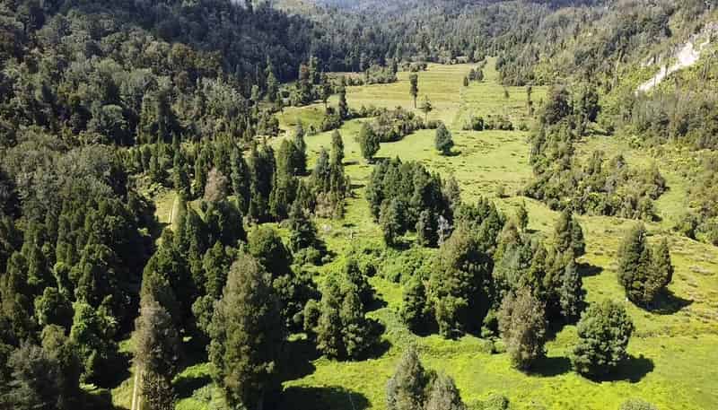 250 Granite Creek Road, Karamea