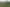 131 Georgetown-Pukeuri Road, Pukeuri