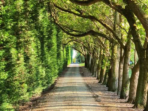 459 Flora Road East, Makarewa