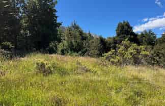 58 Mt Lyford Avenue, Lyford