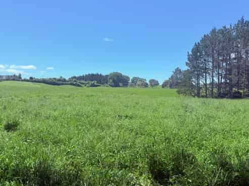 Lot 1 1409 Rangiuru Road, Te Puke