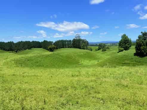 Lot 1 1409 Rangiuru Road, Te Puke