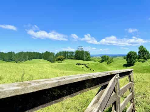 Lot 1 1409 Rangiuru Road, Te Puke
