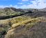 937 Clifton Grove Road, Gladstone, Carterton, Wairarapa