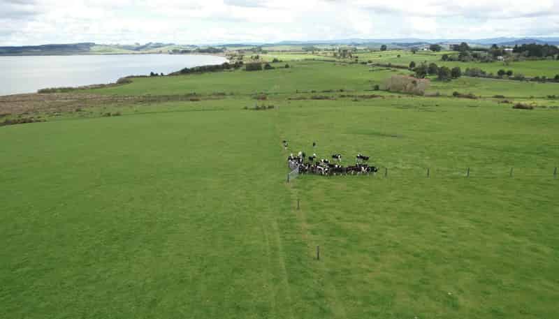 00 Lake Road, Okaihau