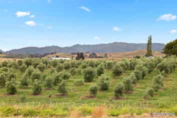 24 Miller Road, Mangatangi