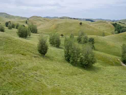 196 Ngapaeruru Road, Dannevirke