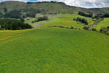 304B Pigeon Flat Road, Mount Cargill