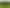 120 Springs Road, Poroti