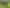 199 Nixon Road, Taupaki