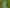 199 Nixon Road, Taupaki