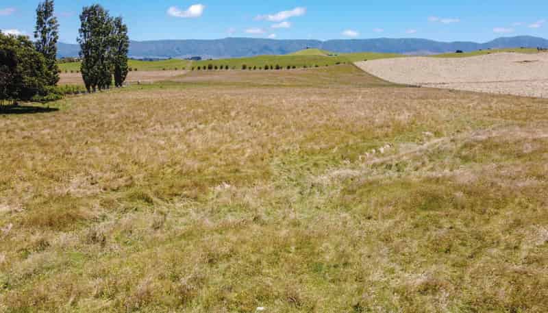 36 Piripiri Road, Dannevirke