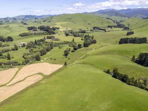 268 Mikimiki Road, Kiriwhakapapa