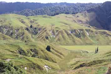 65 Tawhiwhi Road, Pohokura