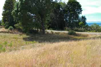 16 Walnut Lane, Nukuhau