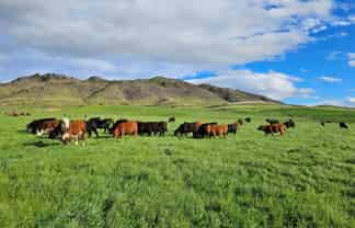 580 Crawford Hills Road, Galloway