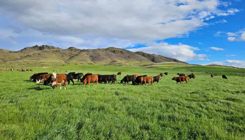 580 Crawford Hills Road, Galloway