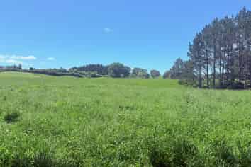 Lot 6 1409 Rangiuru Road, Te Puke