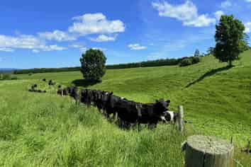Lot 6 1409 Rangiuru Road, Te Puke