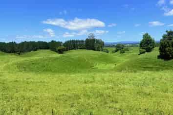 Lot 6 1409 Rangiuru Road, Te Puke