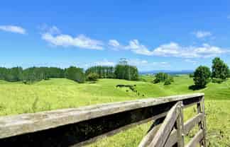 Lot 6 1409 Rangiuru Road, Te Puke