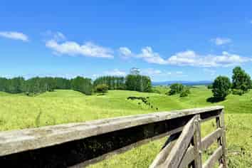 Lot 6 1409 Rangiuru Road, Te Puke