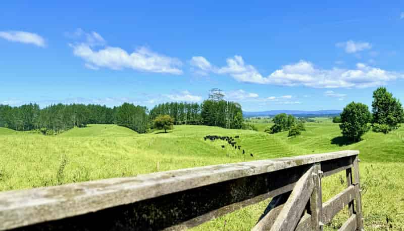 Lot 6 1409 Rangiuru Road, Te Puke