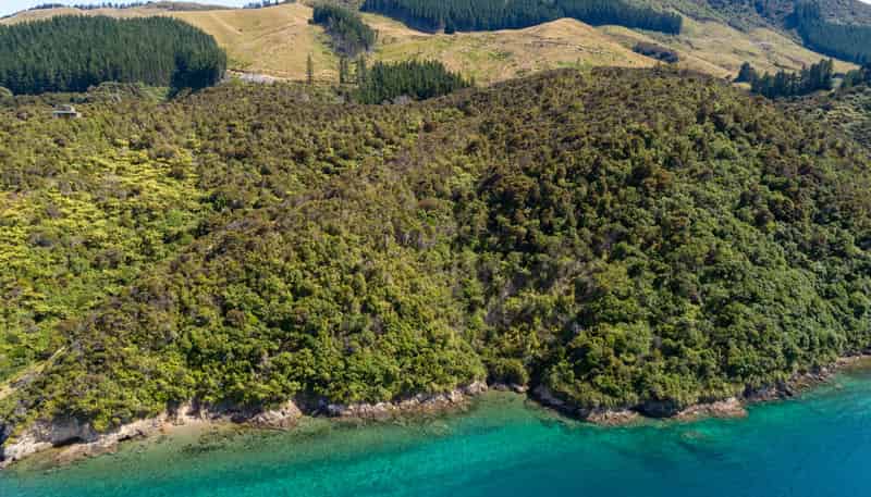  Pipitea Sections, Waiona Bay